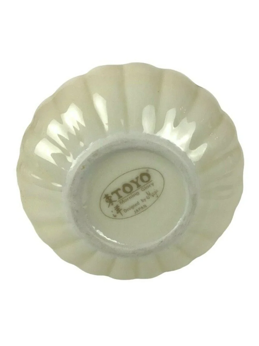Toyo morning glory